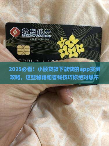 小额贷款下款快的app