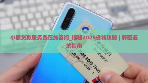 小额贷款服务费在线咨询
