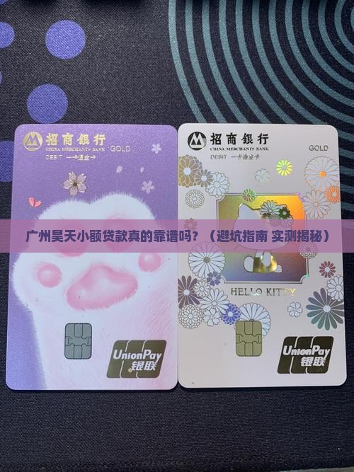 广州昊天小额贷款