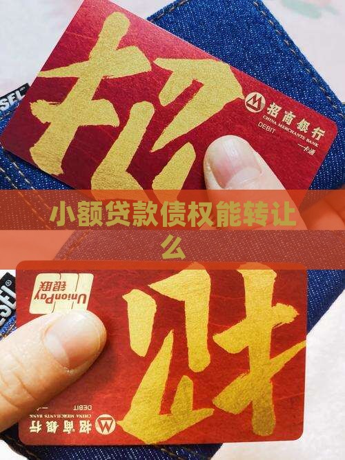 小额贷款债权能转让么