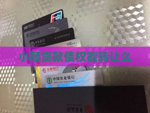 小额贷款债权能转让么