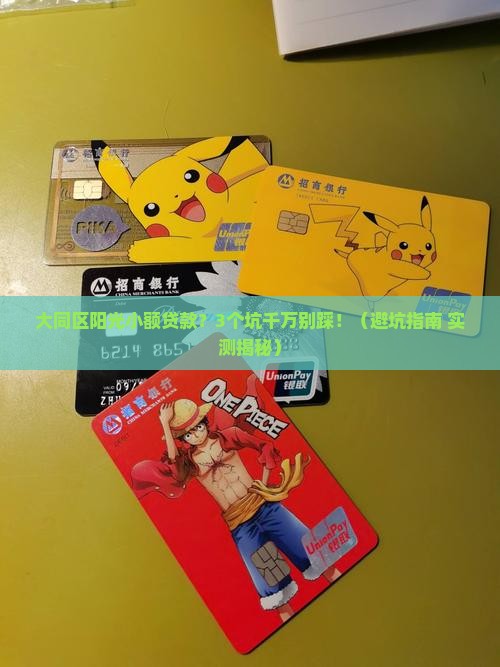 大同区阳光小额贷款