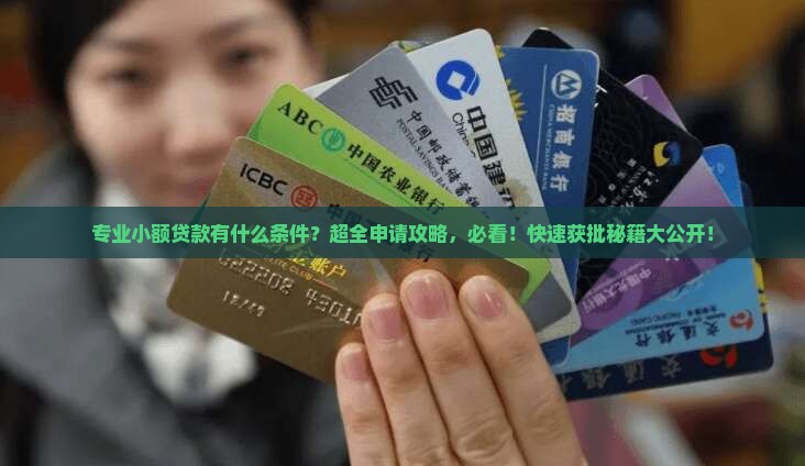 专业小额贷款有什么条件