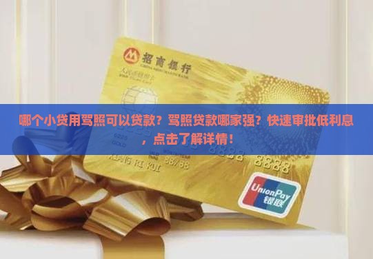 哪个小贷用驾照可以贷款