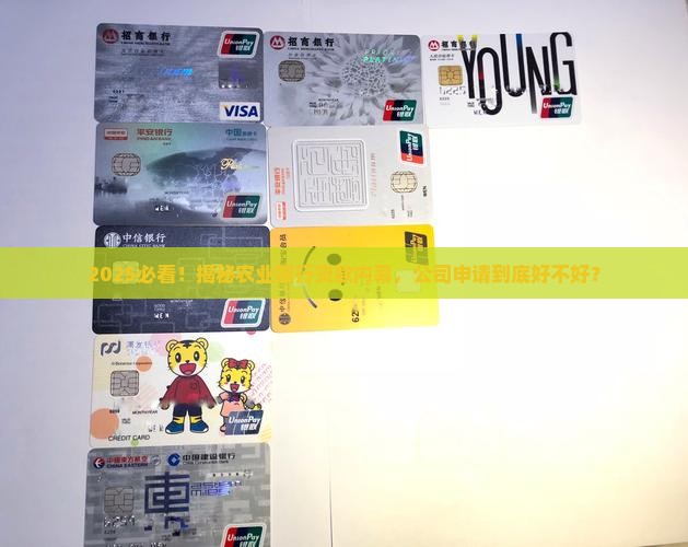 公司在农业银行好贷款吗