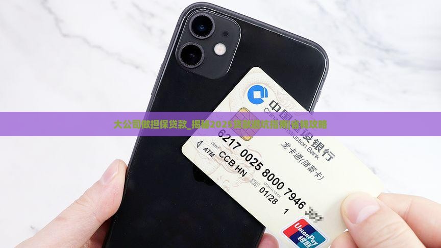 大公司做担保贷款