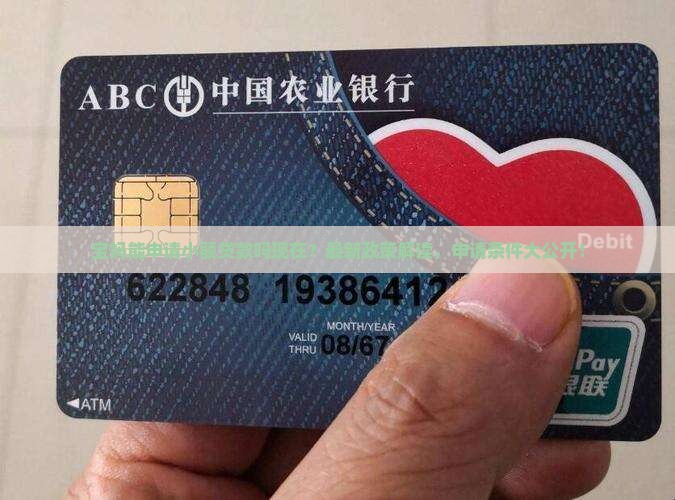 宝妈能申请小额贷款吗现在