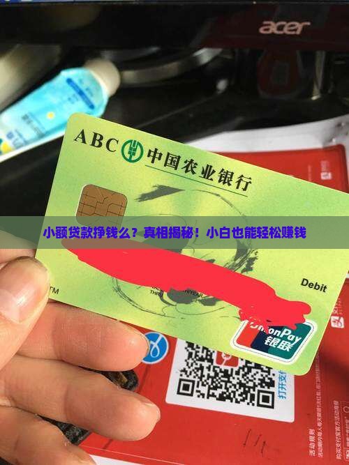 小额贷款挣钱么