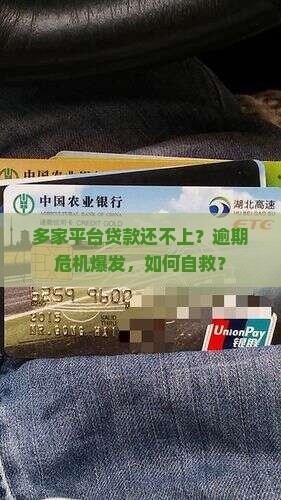 多家平台贷款还不上