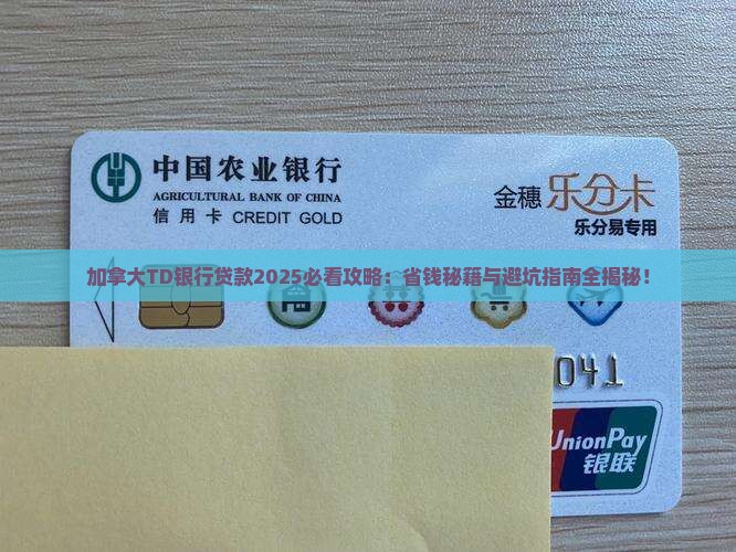 加拿大td银行贷款