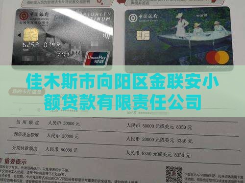佳木斯金联安小额贷款