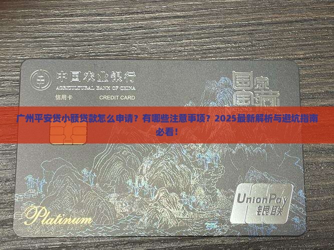 广州平安贷小额贷款
