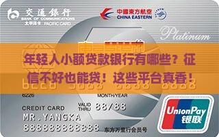 年轻人小额贷款银行有哪些