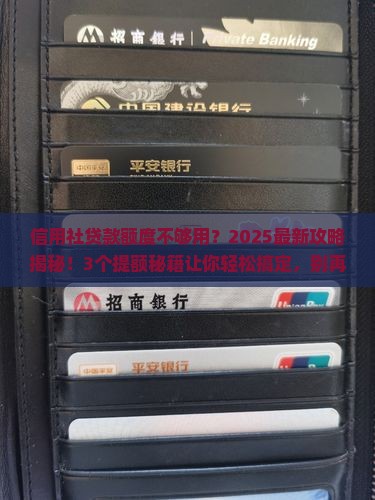 信用社贷款额度可以提额吗