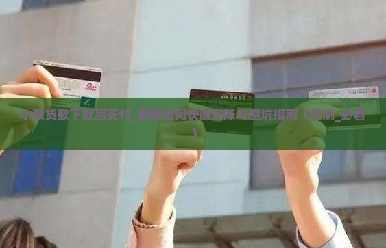小额贷款下款后支付