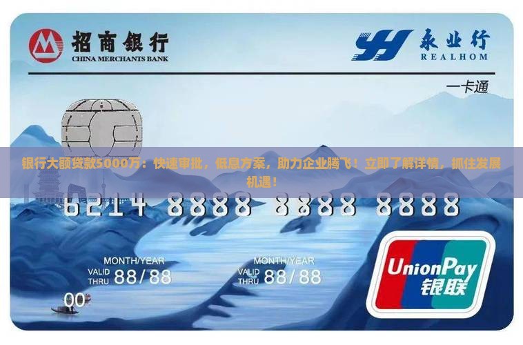 银行大额贷款5000万