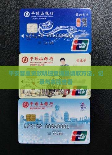 平安普惠贷款明细