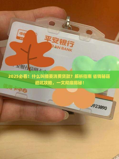什么叫摘要消费贷款