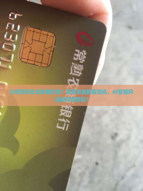 公司贷款无法按期还款