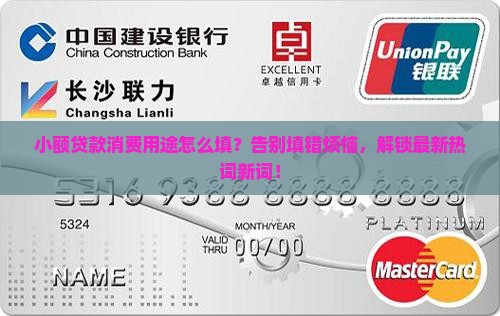 小额贷款消费用途怎么填