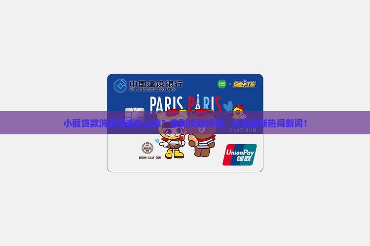 小额贷款消费用途怎么填