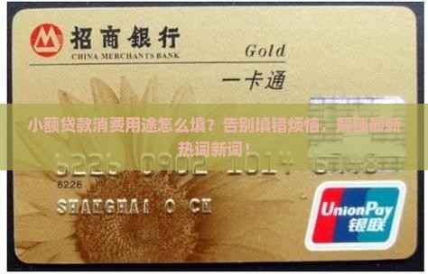 小额贷款消费用途怎么填