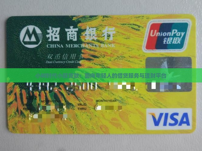 小树时代小额贷款