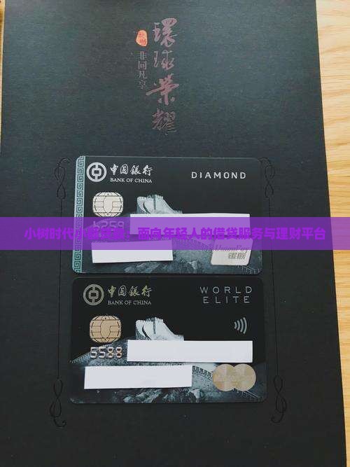 小树时代小额贷款