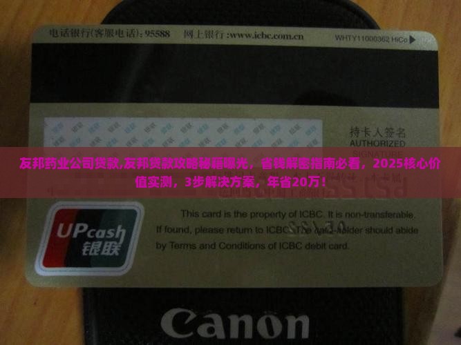 友邦药业公司贷款
