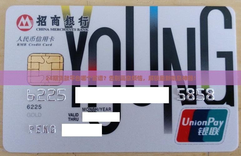 24期贷款平台介绍