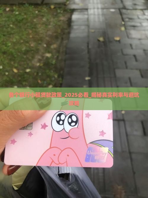 各个银行小额贷款政策