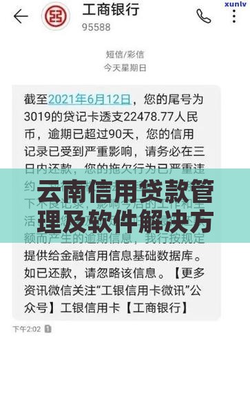 云南信用贷款管理及软件解决方案