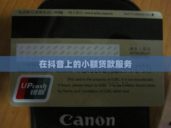 在抖音上的小额贷款服务