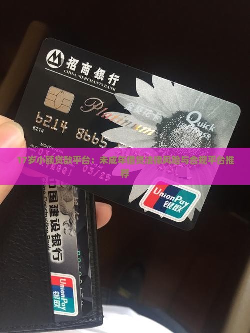 17岁小额贷款平台：未成年借贷法律风险与合规平台推荐