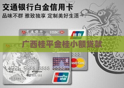 广西桂平金桂小额贷款