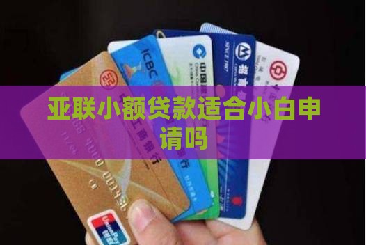 亚联小额贷款适合小白申请吗