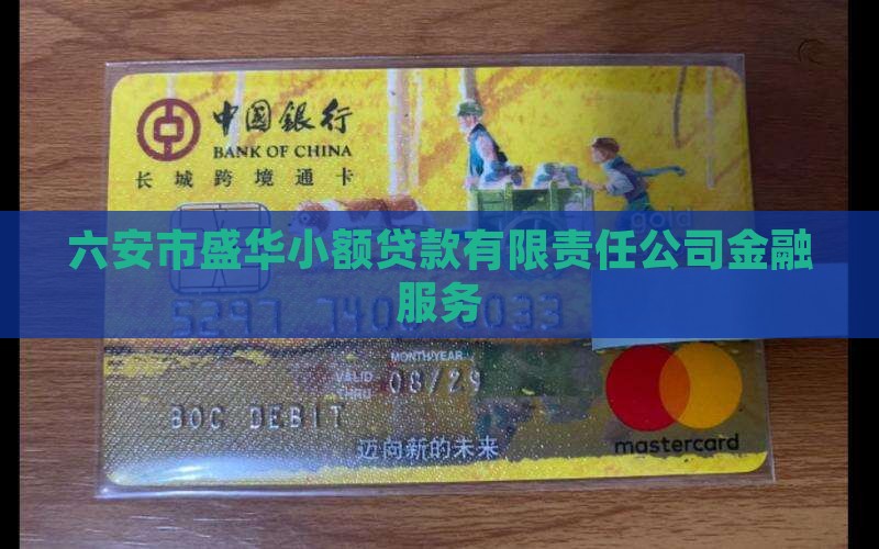 六安市盛华小额贷款有限责任公司金融服务