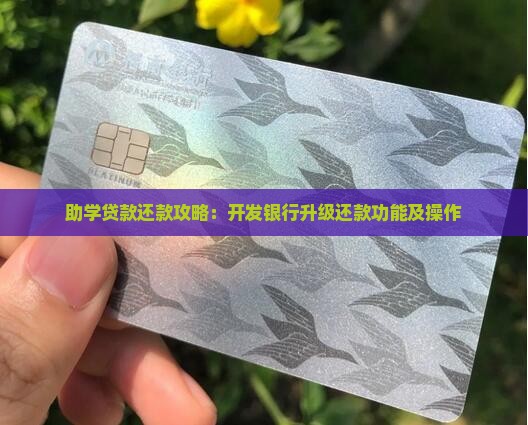 助学贷款还款攻略：开发银行升级还款功能及操作