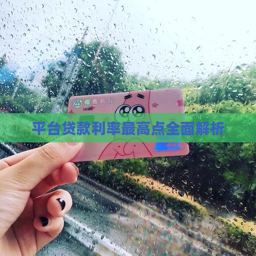 平台贷款利率最高点全面解析