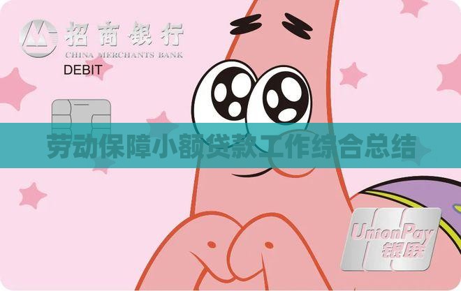 劳动保障小额贷款工作综合总结