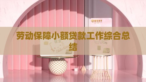 劳动保障小额贷款工作综合总结