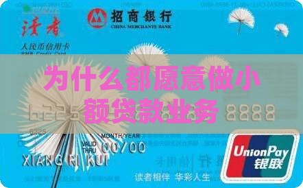 为什么都愿意做小额贷款业务