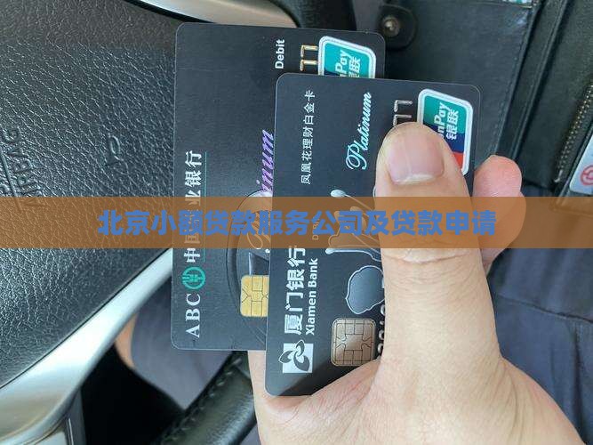 北京小额贷款服务公司及贷款申请