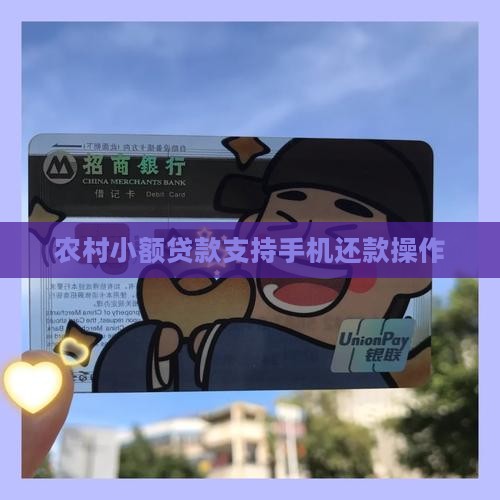 农村小额贷款支持手机还款操作