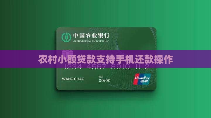 农村小额贷款支持手机还款操作