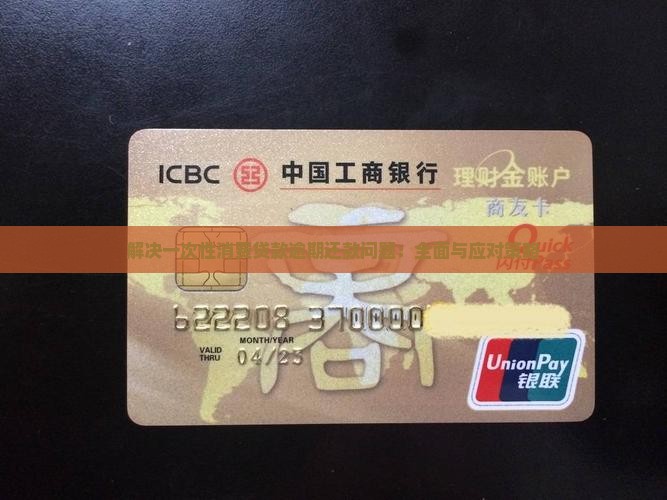 解决一次性消费贷款逾期还款问题：全面与应对策略