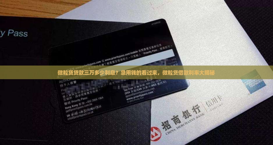 微粒贷贷款三万多少利息