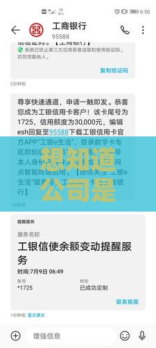 如何知道公司已贷款情况
