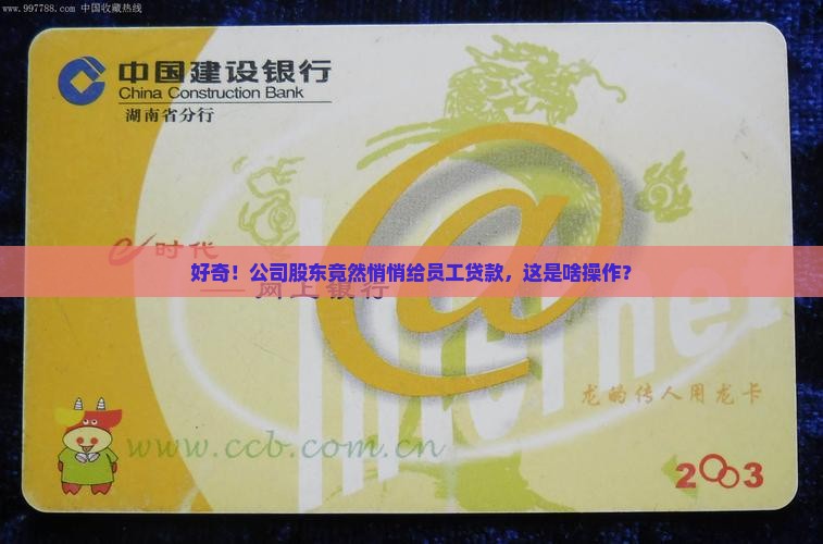 公司股东贷款工作单位