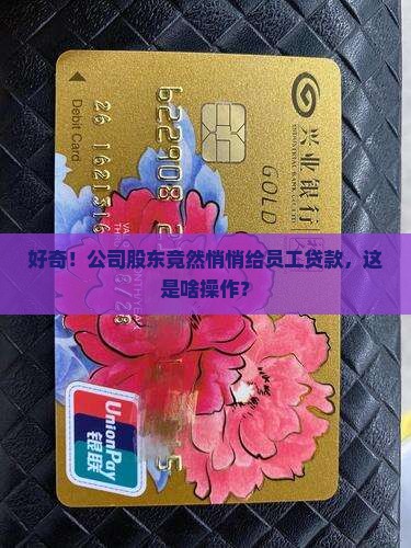 公司股东贷款工作单位